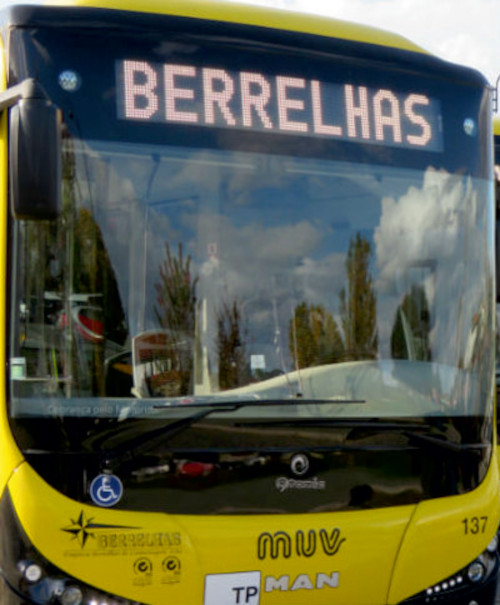 Berrelhas