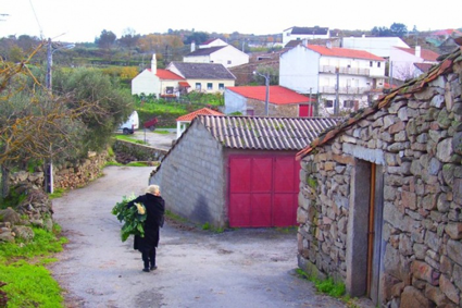 interior portugal