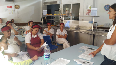 plenario elvas