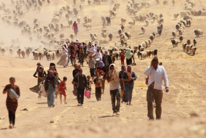refugiados outubro