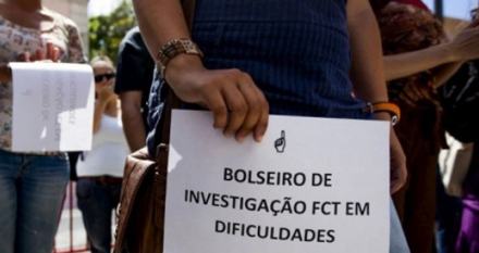 bolseiro investigacao cientifica