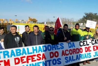 celcat
