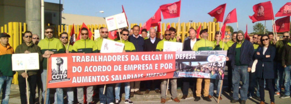 celcat 12