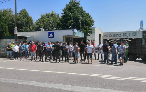 feviccom greve cortica