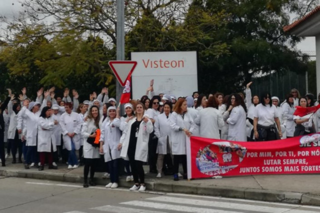visteon palmela